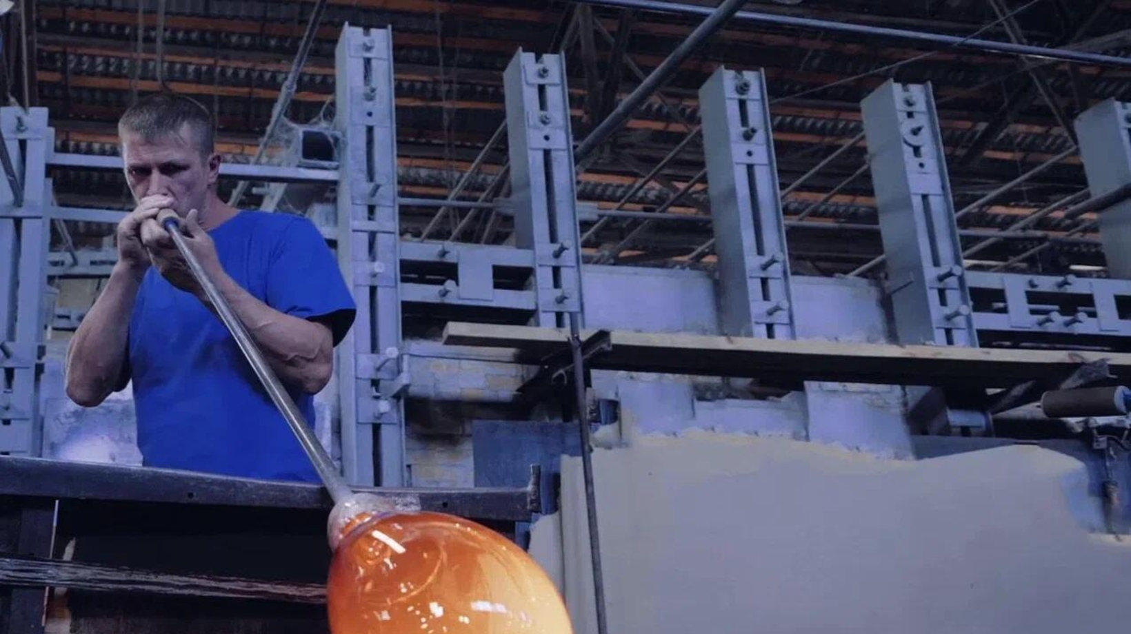 ЭВИС